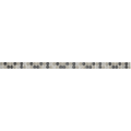 Exclusive Beige Border 1 Exclusive Beige Border 1