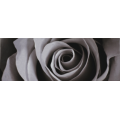 Rose Petals Decor Black Rose Petals Decor Black