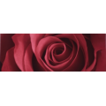 Rose Petals Decor Red Rose Petals Decor Red