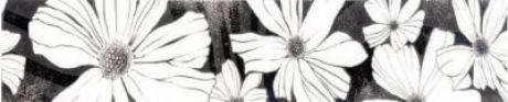 Natural Florist Border 2 Black & White