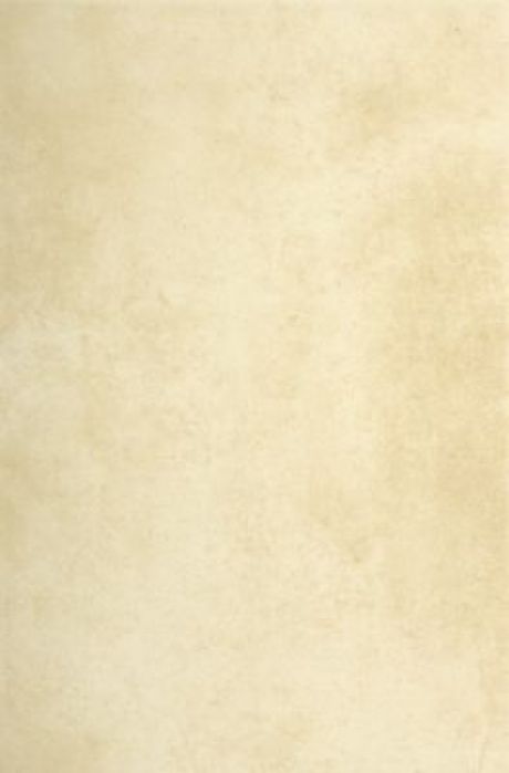 Rustic Beige