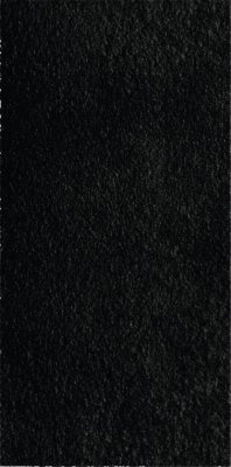 Caesar Quartz Black