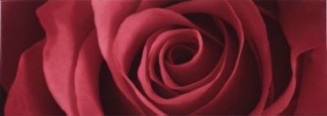 Rose Petals Decor Red