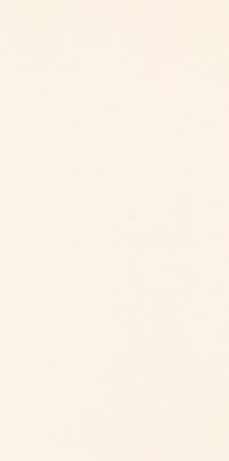 Snow Beige 5000